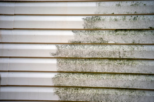 Best Yard Waste Removal  in Graymoor Devondale, KY
