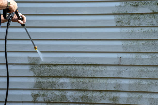 Best Property Management Cleanouts  in Graymoor Devondale, KY